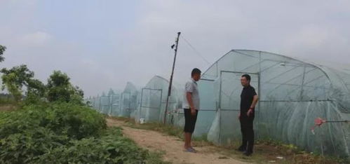 县乡村合并，打破行政壁垒，激活乡村发展新动能