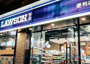 桃酥品牌加盟店推荐，优质品牌与加盟店选择指南