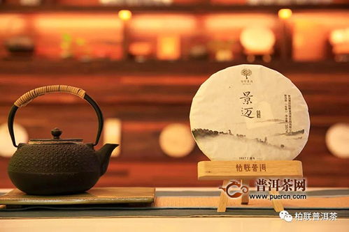 张一茶，从茶园到茶杯的匠心传承与创新之路