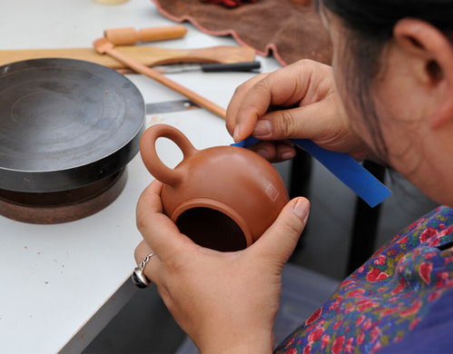 张一茶，从茶园到茶杯的匠心传承与创新之路