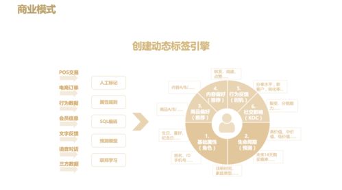 排名 品牌名称 特色服务/产品 加盟支持 成功案例