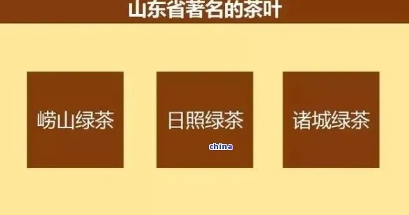 山东茶业加盟店热门品牌一览