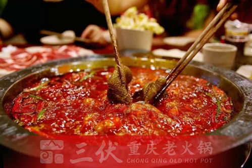 炒菜火锅店加盟热门品牌大盘点