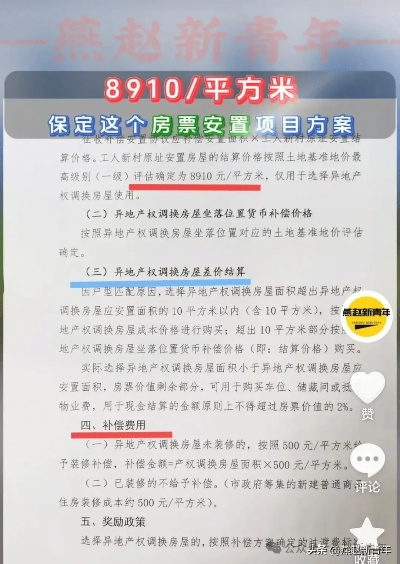保定套白条，深度解析与实用指南