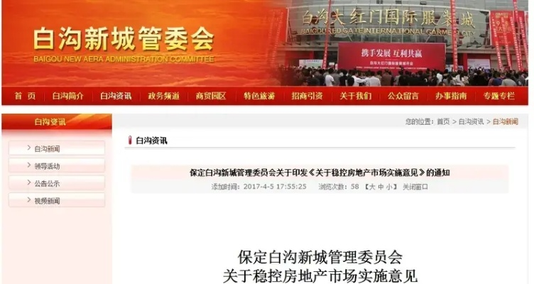 保定套白条，深度解析与实用指南
