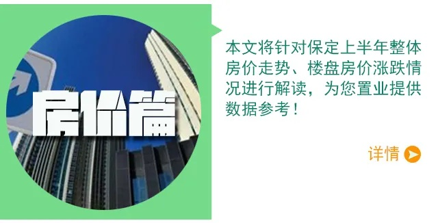 保定套白条，深度解析与实用指南