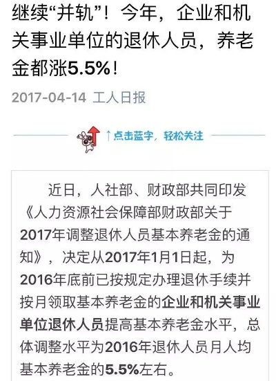 保定套白条，深度解析与实用指南