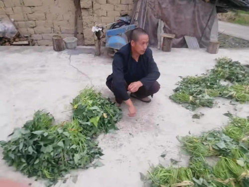 得物分期购12500元提现指南
