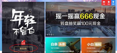 二维码京东白条取现详解，操作指南与案例分析