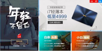 二维码京东白条取现详解，操作指南与案例分析