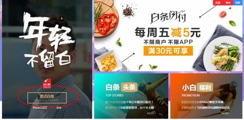 二维码京东白条取现详解，操作指南与案例分析