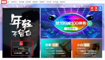 二维码京东白条取现详解，操作指南与案例分析