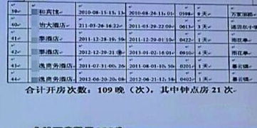 怎样查酒店开房记录表—详解流程与注意事项
