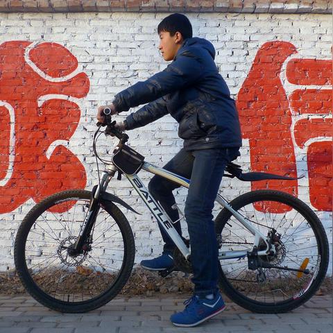 京东白条提现全攻略，资料准备、流程解析与避坑指南