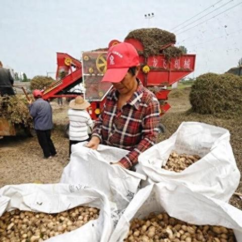2023年零食界黑马频出！这些网红品牌凭啥让年轻人疯狂下单？