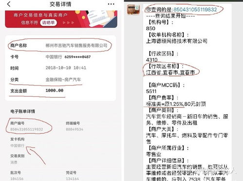 掌握桃多多桃享卡额度管理技巧