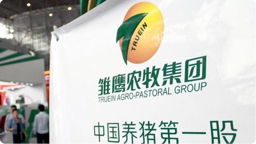 药店老板如何用分期乐轻松取现？手把手教你玩转资金周转
