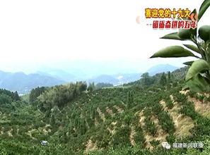 绿水青山变金山银山，乡村旅游如何践行两山理论