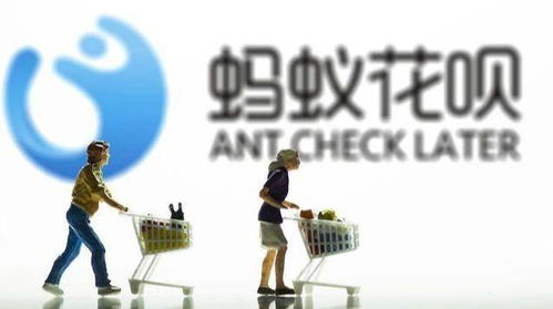 轻松掌握花呗提现技巧，让你的资金流转更灵活