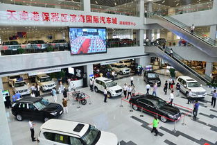 不懂车品牌的卖车困境，从入门到翻车的血泪经验