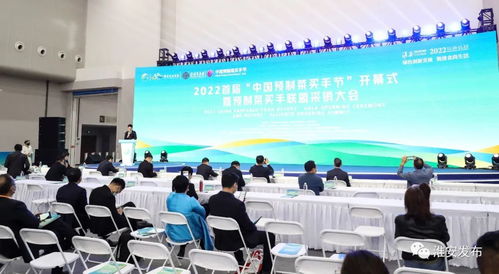 潼南智慧管廊产业园区招标全解析，机遇、挑战与成功案例