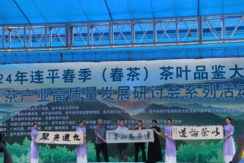 潼南智慧管廊产业园区招标全解析，机遇、挑战与成功案例