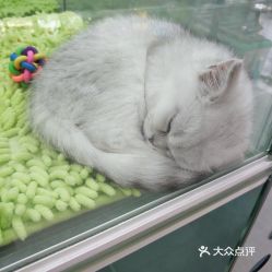 宠物高端洗护加盟品牌推荐