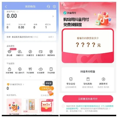抖音月付额度套现与还款指南