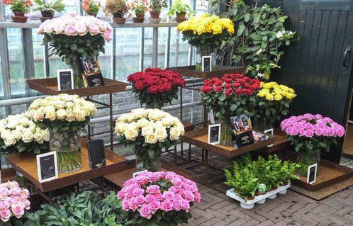 鲜花产地直发加盟品牌推荐