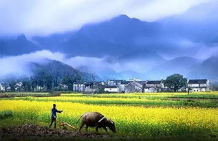 乡村景致，藏在田野里的诗与远方