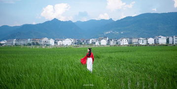 乡村景致，藏在田野里的诗与远方