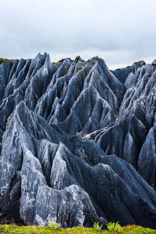 武昌必打卡景点Top10，本地人私藏的宝藏地全解析
