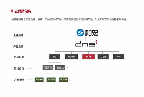 枣庄按摩加盟店品牌推荐及案例分析