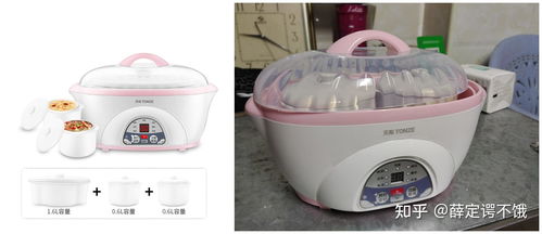 陶瓷碗选购指南，健康与实用兼具的五大品牌推荐
