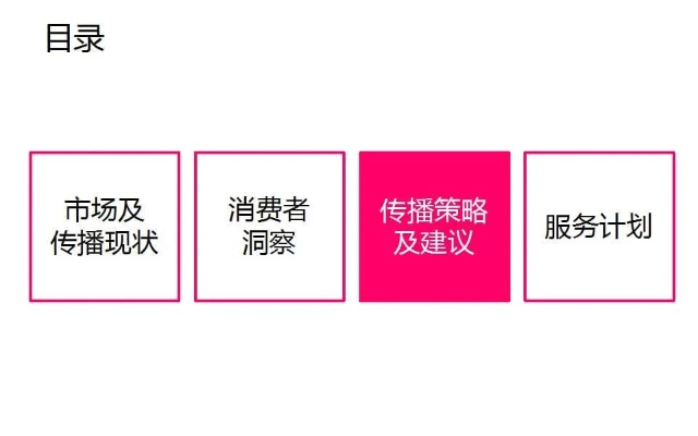 医药品牌传播规划书模板