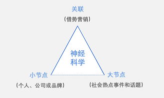 七彩碟板材是几线品牌？从市场定位到消费者口碑全解析