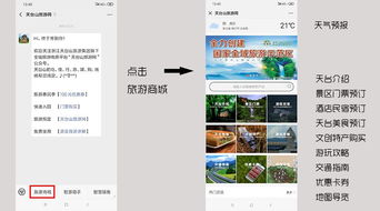 手把手教你玩转网站广告加盟引流，小白也能月入3万的实战指南