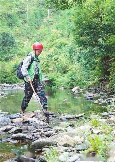 乡村守护人挂黄标红标的实操指南，手把手教你守护绿水青山