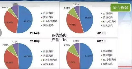 发泡陶瓷配料品牌全解析，行业趋势、热门品牌与实战案例
