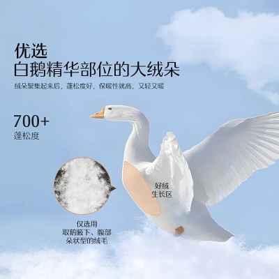 鸭绒被旗舰店正品安全全解析，避坑指南+真实案例分享