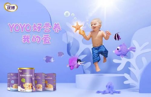 母婴新星品牌，创新与成长的旅程