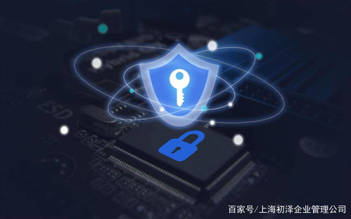 正规黑客24小时在线QQ，揭秘网络安全的守护者