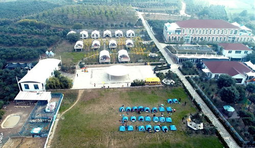 让民族地区焕发新活力，乡村振兴的多元路径探索