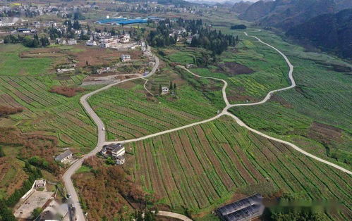 让民族地区焕发新活力，乡村振兴的多元路径探索