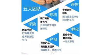 荷诺品牌解析，医药领域的创新与实践