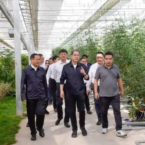 组织部如何谈乡村振兴，从输血到造血的实践路径