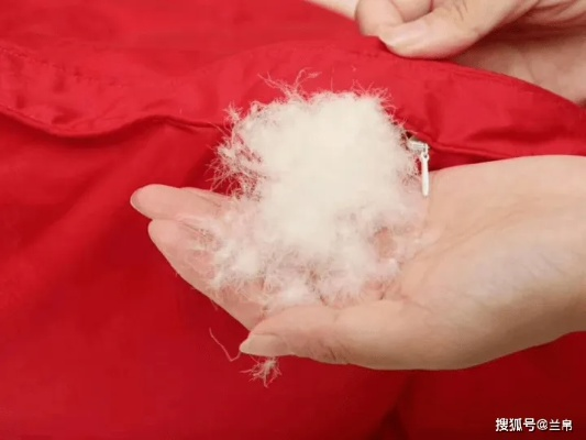 鸭绒被能用被子钉固器吗？一篇文章说清楚利弊和正确用法