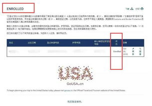 怎样查酒店点评记录明细？一步步教你轻松搞定！