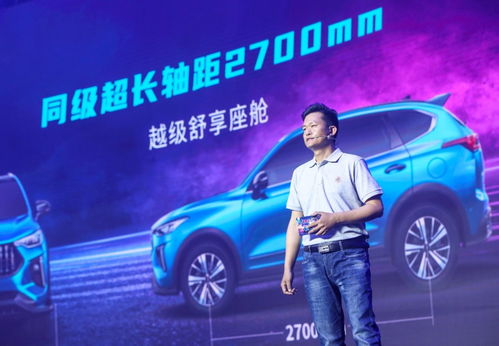 鸭绒被价格大解析，2023年选购指南与省钱技巧