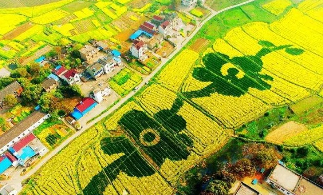 乡村振兴新思路，从田间到城市，激活乡村的N种可能